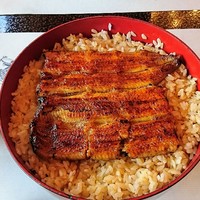 鰻割烹 伊豆栄 本店 - 殿重