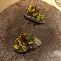 TTOAHISU - 