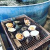 海鮮料理　日南水産