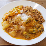 ヴェヌス サウス インディアン ダイニング - ランチビュッフェ(1000円) この日はチキン・ダイコンマサラ、ひき肉・パンダ豆マサラ、おくらと豆、ミックス野菜カレー