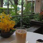 ウエスト青山ガーデン - アイスカフェオレ