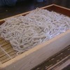 三瀬そば