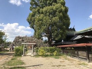 Nakajimagenkuroumochihompo - 柳沢神社と天守台