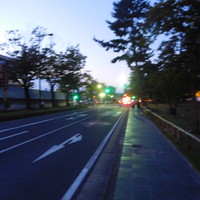 夢窓庵 - 奈良公園前の通り、この日は皇太子殿下夫妻が奈良訪問で交通規制がかかっていました