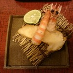 蓬左茶寮 - 車海老フライ