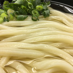 正家 - かけうどん ズーム