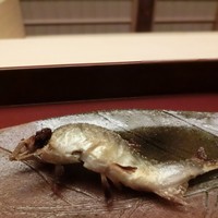 木山 - 鮎、１匹目