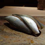 菊鮨 - ◆コハダ（天草）・・3枚重ねで出されました。酢でしっかり〆た印象。