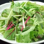 [Directly from the farm] Baby leaf salad from Morisaki Farm