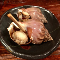 江戸心 山ぼうし - 