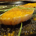 フォルトゥーナ - 