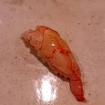 鮨匠 のむら - ナミクダヒゲエビ