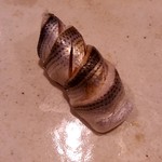 鮨匠 のむら - シンコ