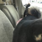 ピッザピッザピッザ - 