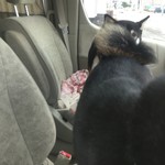 ピッザピッザピッザ - 