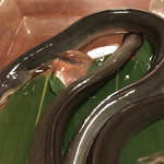 鰻はし本 - 岩切鰻