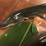 鰻はし本 - 岩切鰻