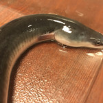 鰻はし本 - 岩切鰻