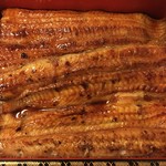 鰻はし本 - 鰻重