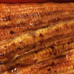 鰻はし本 - 鰻重