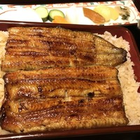 恵比寿 鰻 松川 - 