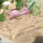 麺と心 7 - 鯛白湯そば（2016年4月限定）（麺）