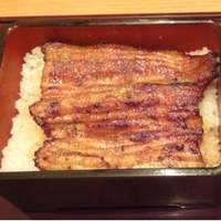 赤坂ふきぬき - うな重