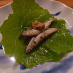 魚菜料理 縄屋 - 2013年5月