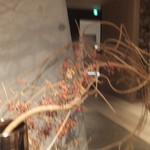 ドミニク・ブシェ トーキョー - 