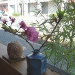 手打 たけうち - 