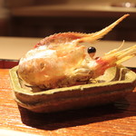 富小路 やま岸 - 牡丹海老頭