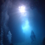 キングタコス - 