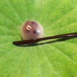 高台寺 和久傳 - 