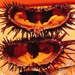 地魚料理 海山 - 