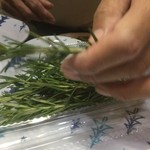 ピッザピッザピッザ - 