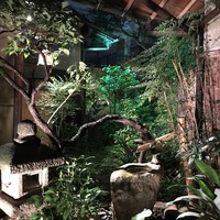 重箱 - 