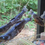 おこもり 山女魚 - 岩魚の塩焼き：直前まで眼下の渓流で泳いでいます。