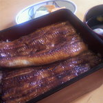 うなぎ亭 友栄 - 上うな重