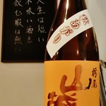 ワインと日本酒・居酒場アップ&ダウン - 