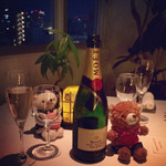 ヒルトップ カシータ - 