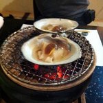 銀閣寺 貝 - 焼き物。