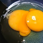 ミートたつみ - 卵は全て双子でした