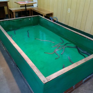 うなぎつり 大阪屋_2