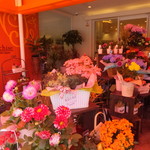 フランシーズ - 