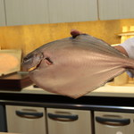 味あら井 - まな鰹