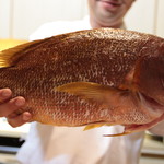 味あら井 - 宮崎しぶだい