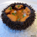 カーサ・デル・チーボ - バフン海胆の冷製仕立