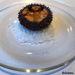 カーサ・デル・チーボ - バフン海胆の冷製仕立