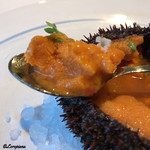 カーサ・デル・チーボ - 濃厚な味わいのバフン海胆