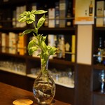 ムーンシャイン - 